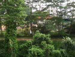 Mcmahon Park (D10), Detached #278592351